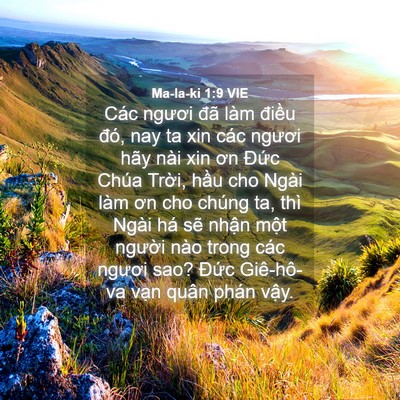 Picture 04 - Ma-la-ki 1:9 VIE - Các ngươi đã làm điều đó, nay ta xin - Bible Verse Picture