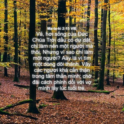 Picture 04 - Ma-la-ki 2:15 VIE - Vả, hơi sống của Đức Chúa Trời dầu - Bible Verse Picture