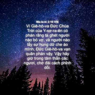 Picture 04 - Ma-la-ki 2:16 VIE - Vì Giê-hô-va Đức Chúa Trời của - Bible Verse Picture
