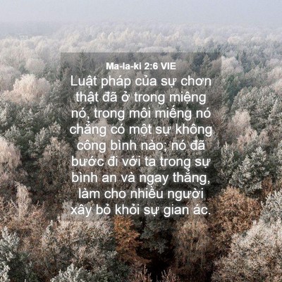 Picture 04 - Ma-la-ki 2:6 VIE - Luật pháp của sự chơn thật đã ở - Bible Verse Picture