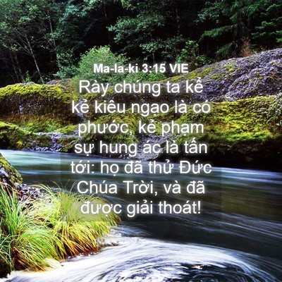 Picture 04 - Ma-la-ki 3:15 VIE - Rày chúng ta kể kẻ kiêu ngạo là có - Bible Verse Picture