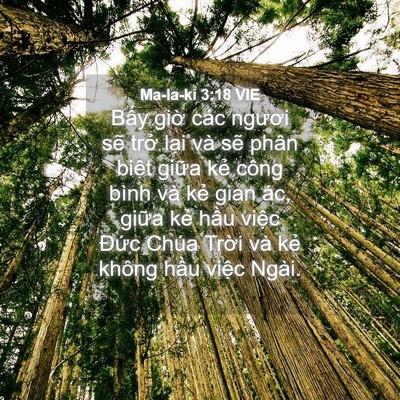 Picture 04 - Ma-la-ki 3:18 VIE - Bấy giờ các ngươi sẽ trở lại và - Bible Verse Picture