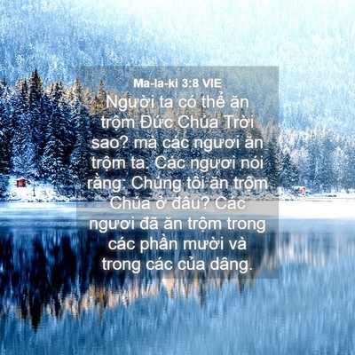 Picture 04 - Ma-la-ki 3:8 VIE - Người ta có thể ăn trộm Đức Chúa - Bible Verse Picture