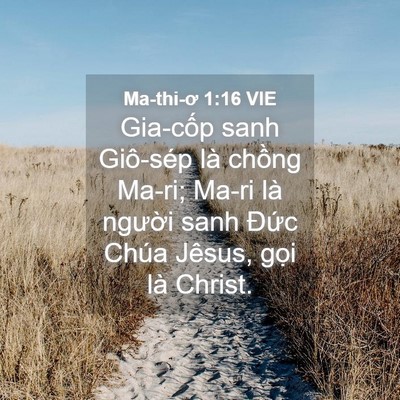 Picture 04 - Ma-thi-ơ 1:16 VIE - Gia-cốp sanh Giô-sép là chồng Ma-ri; Ma-ri - Bible Verse Picture