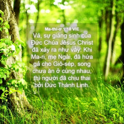 Picture 04 - Ma-thi-ơ 1:18 VIE - Vả, sự giáng sinh của Đức Chúa Jêsus - Bible Verse Picture