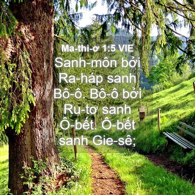 Picture 04 - Ma-thi-ơ 1:5 VIE - Sanh-môn bởi Ra-háp sanh Bô-ô. Bô-ô bởi - Bible Verse Picture