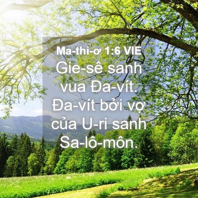 Picture 04 - Ma-thi-ơ 1:6 VIE - Gie-sê sanh vua Đa-vít. Đa-vít bởi vợ - Bible Verse Picture