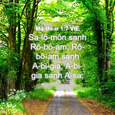 Picture 04 - Ma-thi-ơ 1:7 VIE - Sa-lô-môn sanh Rô-bô-am; Rô-bô-am sanh - Bible Verse Picture