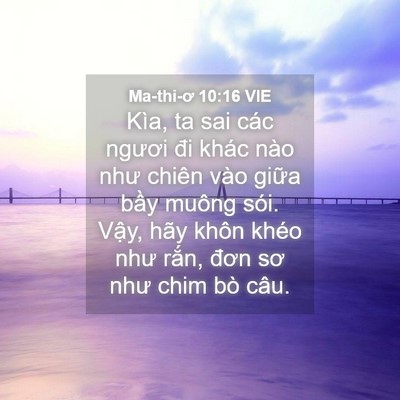 Picture 04 - Ma-thi-ơ 10:16 VIE - Kìa, ta sai các ngươi đi khác nào như - Bible Verse Picture