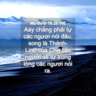Picture 04 - Ma-thi-ơ 10:20 VIE - Aáy chẳng phải tự các ngươi nói đâu, - Bible Verse Picture