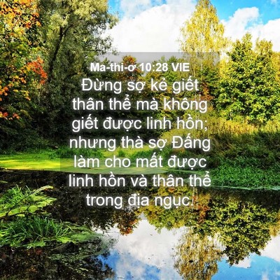 Picture 04 - Ma-thi-ơ 10:28 VIE - Đừng sợ kẻ giết thân thể mà không - Bible Verse Picture