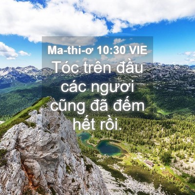 Picture 04 - Ma-thi-ơ 10:30 VIE - Tóc trên đầu các ngươi cũng đã đếm - Bible Verse Picture
