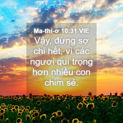 Picture 04 - Ma-thi-ơ 10:31 VIE - Vậy, đừng sợ chi hết, vì các ngươi - Bible Verse Picture
