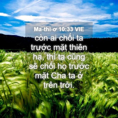 Picture 04 - Ma-thi-ơ 10:33 VIE - còn ai chối ta trước mặt thiên hạ, - Bible Verse Picture