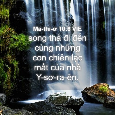 Picture 04 - Ma-thi-ơ 10:6 VIE - song thà đi đến cùng những con chiên - Bible Verse Picture