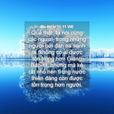 Picture 04 - Ma-thi-ơ 11:11 VIE - Quả thật, ta nói cùng các ngươi, trong - Bible Verse Picture