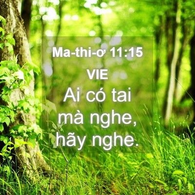 Picture 04 - Ma-thi-ơ 11:15 VIE - Ai có tai mà nghe, hãy - Bible Verse Picture