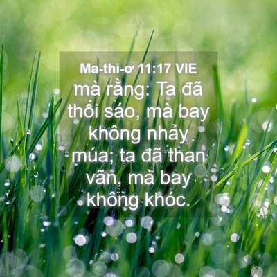 Picture 04 - Ma-thi-ơ 11:17 VIE - mà rằng: Ta đã thổi sáo, mà bay không - Bible Verse Picture