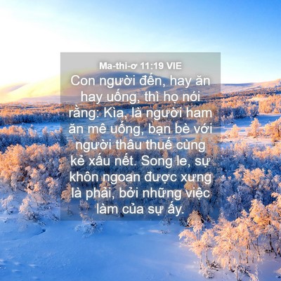 Picture 04 - Ma-thi-ơ 11:19 VIE - Con người đến, hay ăn hay uống, thì - Bible Verse Picture