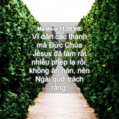 Picture 04 - Ma-thi-ơ 11:20 VIE - Vì dân các thành mà Đức Chúa Jêsus đã - Bible Verse Picture