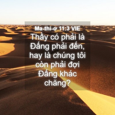 Picture 04 - Ma-thi-ơ 11:3 VIE - Thầy có phải là Đấng phải đến, hay - Bible Verse Picture