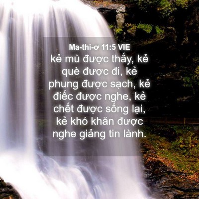 Picture 04 - Ma-thi-ơ 11:5 VIE - kẻ mù được thấy, kẻ què được đi, - Bible Verse Picture