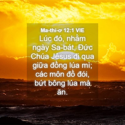 Picture 04 - Ma-thi-ơ 12:1 VIE - Lúc đó, nhằm ngày Sa-bát, Đức Chúa - Bible Verse Picture