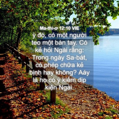 Picture 04 - Ma-thi-ơ 12:10 VIE - ỳ đó, có một người teo một bàn tay. - Bible Verse Picture