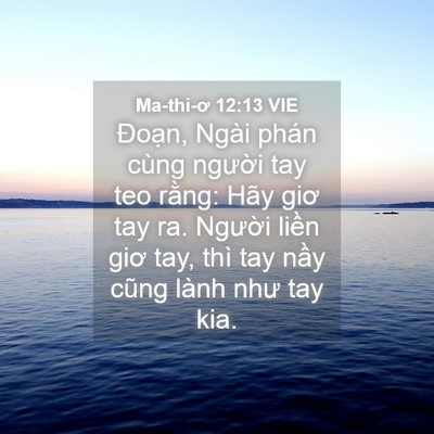 Picture 04 - Ma-thi-ơ 12:13 VIE - Đoạn, Ngài phán cùng người tay teo - Bible Verse Picture