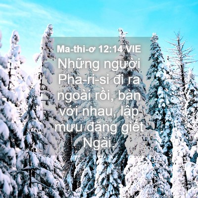 Picture 04 - Ma-thi-ơ 12:14 VIE - Những người Pha-ri-si đi ra ngoài rồi, - Bible Verse Picture