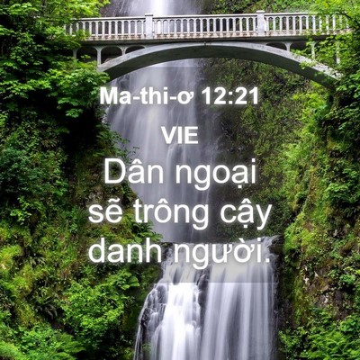 Picture 04 - Ma-thi-ơ 12:21 VIE - Dân ngoại sẽ trông cậy danh - Bible Verse Picture