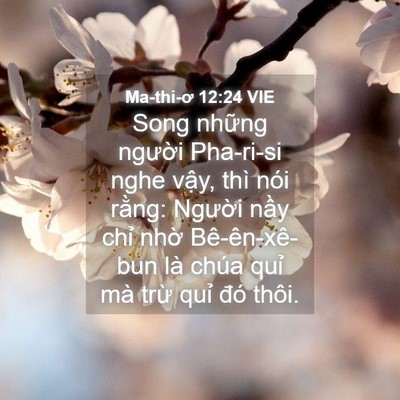 Picture 04 - Ma-thi-ơ 12:24 VIE - Song những người Pha-ri-si nghe vậy, thì - Bible Verse Picture