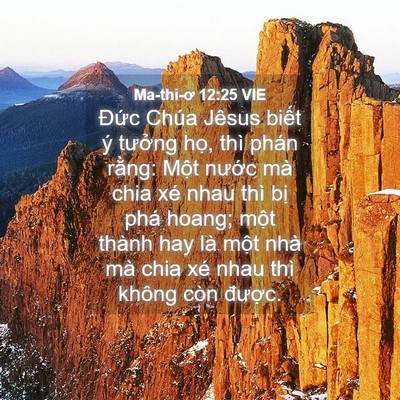 Picture 04 - Ma-thi-ơ 12:25 VIE - Đức Chúa Jêsus biết ý tưởng họ, thì - Bible Verse Picture