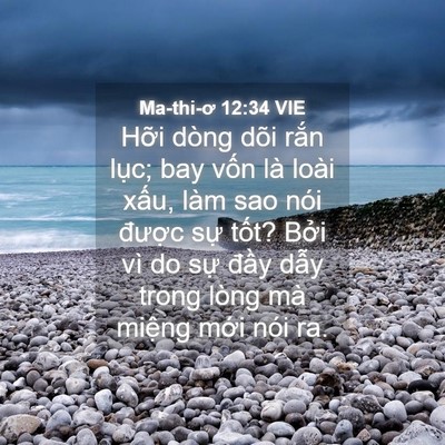 Picture 04 - Ma-thi-ơ 12:34 VIE - Hỡi dòng dõi rắn lục; bay vốn là loài - Bible Verse Picture