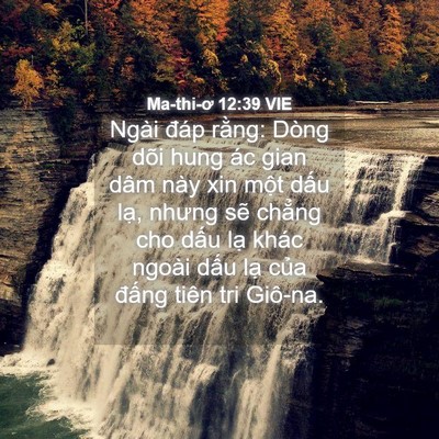 Picture 04 - Ma-thi-ơ 12:39 VIE - Ngài đáp rằng: Dòng dõi hung ác gian dâm - Bible Verse Picture