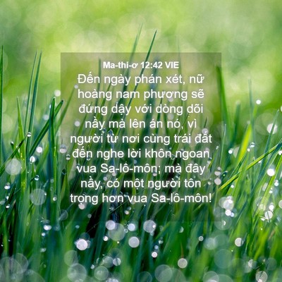 Picture 04 - Ma-thi-ơ 12:42 VIE - Đến ngày phán xét, nữ hoàng nam phương - Bible Verse Picture