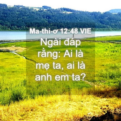 Picture 04 - Ma-thi-ơ 12:48 VIE - Ngài đáp rằng: Ai là mẹ ta, ai là anh em - Bible Verse Picture