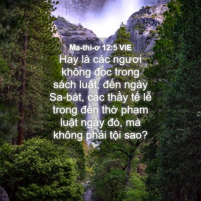 Picture 04 - Ma-thi-ơ 12:5 VIE - Hay là các ngươi không đọc trong sách - Bible Verse Picture