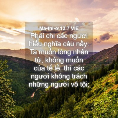 Picture 04 - Ma-thi-ơ 12:7 VIE - Phải chi các ngươi hiểu nghĩa câu nầy: - Bible Verse Picture