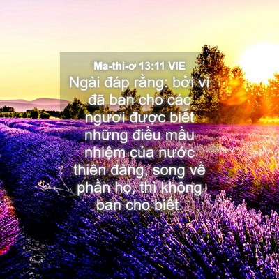 Picture 04 - Ma-thi-ơ 13:11 VIE - Ngài đáp rằng: bởi vì đã ban cho các - Bible Verse Picture