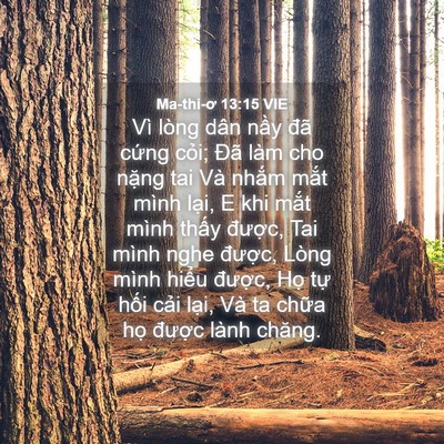 Picture 04 - Ma-thi-ơ 13:15 VIE - Vì lòng dân nầy đã cứng cỏi; Đã làm - Bible Verse Picture