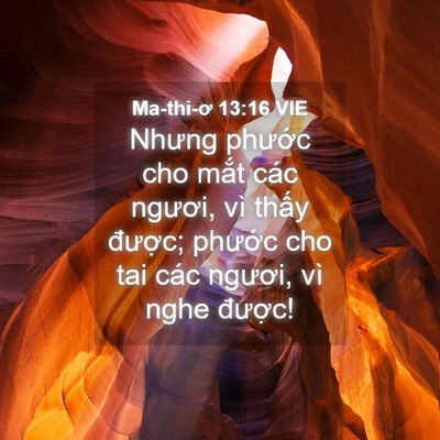 Picture 04 - Ma-thi-ơ 13:16 VIE - Nhưng phước cho mắt các ngươi, vì - Bible Verse Picture