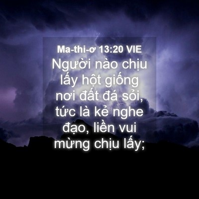 Picture 04 - Ma-thi-ơ 13:20 VIE - Người nào chịu lấy hột giống nơi - Bible Verse Picture