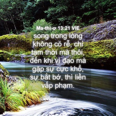 Picture 04 - Ma-thi-ơ 13:21 VIE - song trong lòng không có rễ, chỉ tạm - Bible Verse Picture