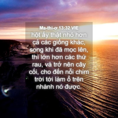 Picture 04 - Ma-thi-ơ 13:32 VIE - hột ấy thật nhỏ hơn cả các giống - Bible Verse Picture