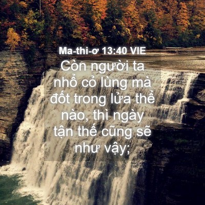 Picture 04 - Ma-thi-ơ 13:40 VIE - Còn người ta nhổ cỏ lùng mà đốt - Bible Verse Picture