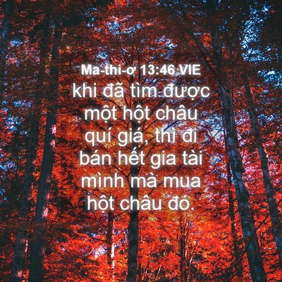 Picture 04 - Ma-thi-ơ 13:46 VIE - khi đã tìm được một hột châu quí - Bible Verse Picture