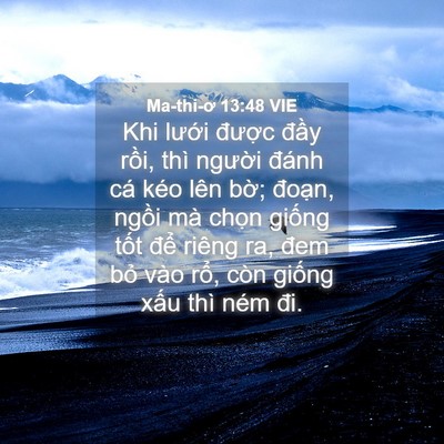 Picture 04 - Ma-thi-ơ 13:48 VIE - Khi lưới được đầy rồi, thì người - Bible Verse Picture