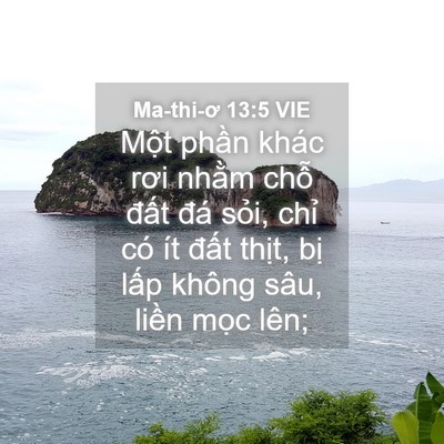 Picture 04 - Ma-thi-ơ 13:5 VIE - Một phần khác rơi nhằm chỗ đất đá - Bible Verse Picture