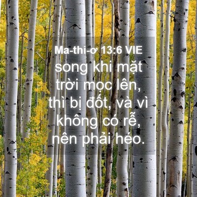 Picture 04 - Ma-thi-ơ 13:6 VIE - song khi mặt trời mọc lên, thì bị - Bible Verse Picture